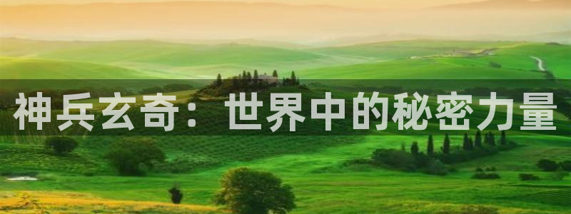 这里的妹子都想攻略我奇漫屋：神兵玄奇：世界中的秘密力量