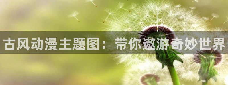 我独自升级漫画奇漫屋漫画：古风动漫主题图：带你遨游奇妙世界